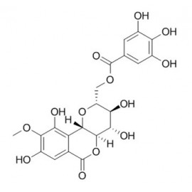 11-O-Galloylbergenin