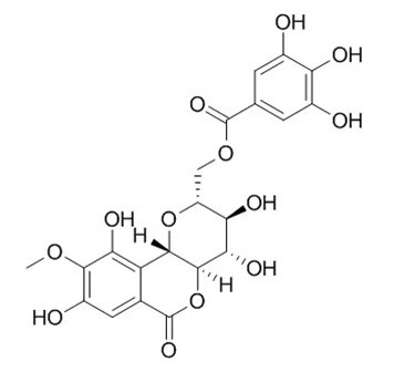 11-O-Galloylbergenin