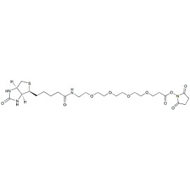 Biotin-PEG4-NHS ester