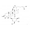 20(R)-Ginsenoside Rh1