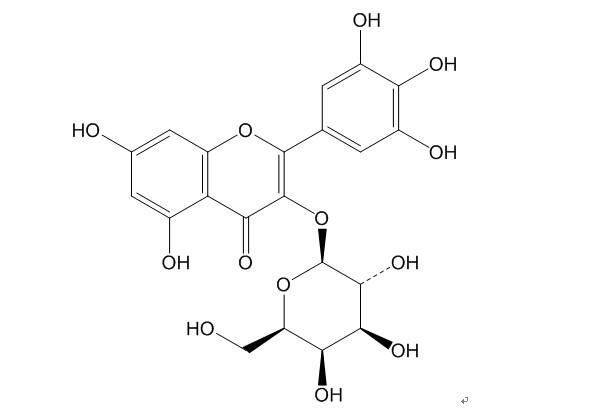 Myricetin 3-O-galactoside