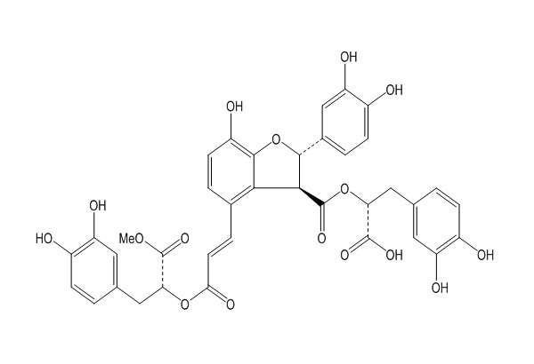 9'''-Methyl salvianolate B