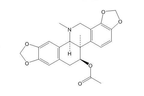 Acetylcorynoline