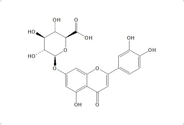 Luteolin 7-O-glucuronide