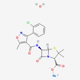 Cloxacillin sodium monohydrate