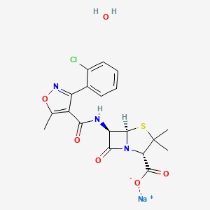 Cloxacillin sodium monohydrate