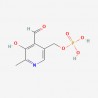 Pyridoxal phosphate