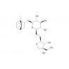 Borneol 7-O-[β-D-apiofuranosyl-(1→6)]-β-D-glucopyranoside