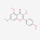 Kaempferol-7,4'-dimethyl ether