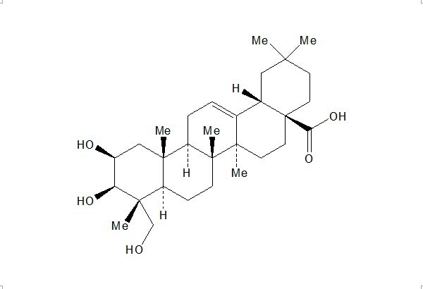 Bayogenin