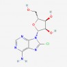 8-Chloroadenosine