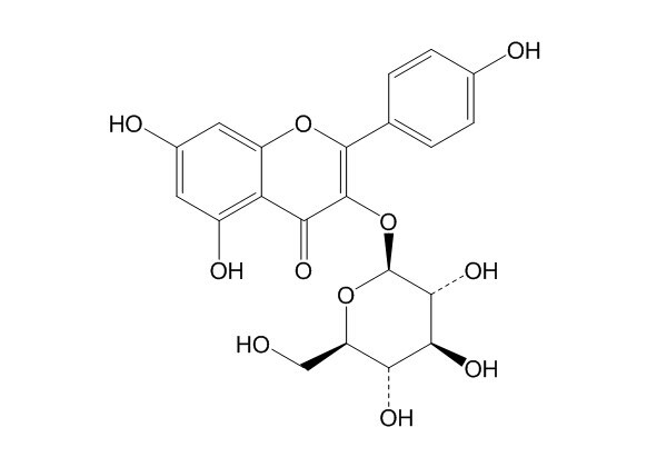 Astragalin