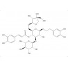 Forsythoside B