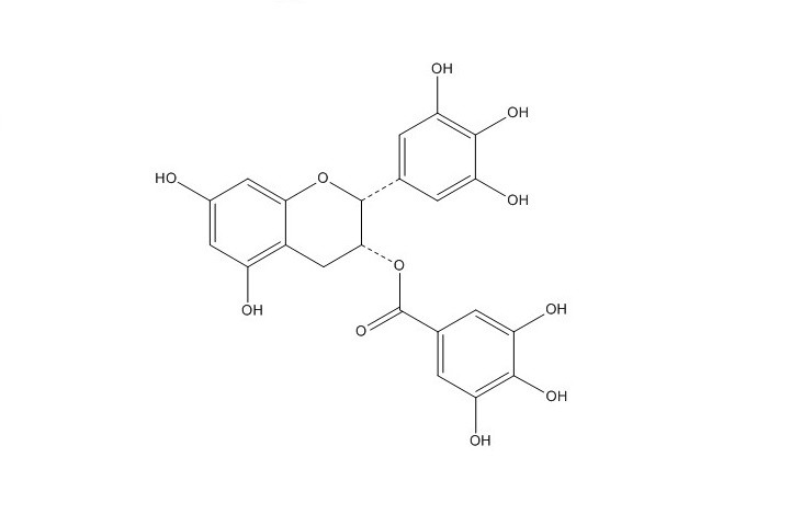 Epigallocatechin gallate