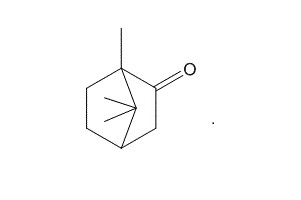Camphor