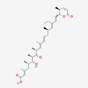 Leptomycin B