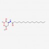 N-Palmitoyl-L-aspartate