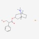 Atropine methyl bromide