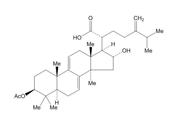 Dehydrotrametenolic acid