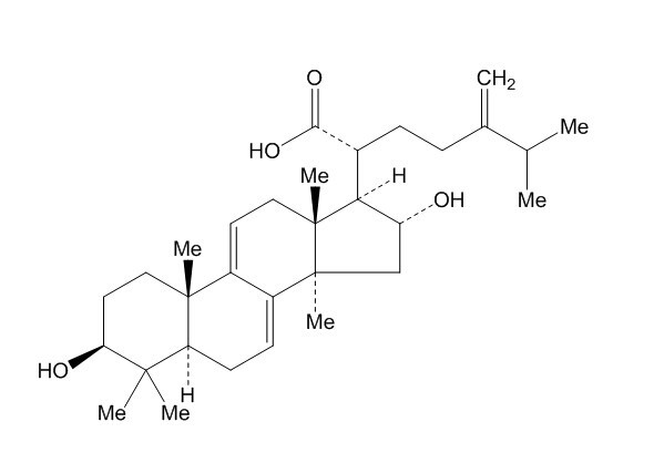 Dehydrotumulosic acid
