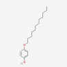 4-N-Dodecyloxyphenol