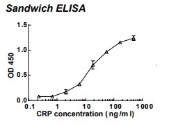 Rabbit anti-human C-reactive protein (CRP) monoclonal antibody (clone 56C1)