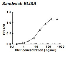 Rabbit anti-human C-reactive protein (CRP) monoclonal antibody (clone 56C1)
