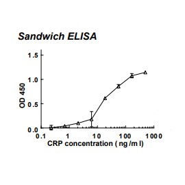 Rabbit anti-human C-reactive protein (CRP) monoclonal antibody (clone 58D8)