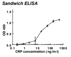 Rabbit anti-human C-reactive protein (CRP) monoclonal antibody (clone 58D8)