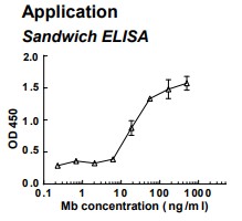 Rabbit anti-human Myoglobin (Mb) monoclonal antibody (clone 2F11)