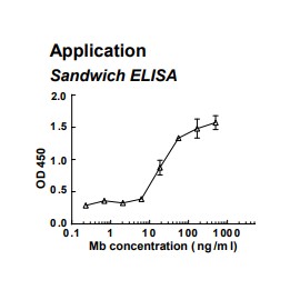 Rabbit anti-human Myoglobin (Mb) monoclonal antibody (clone 2F11)