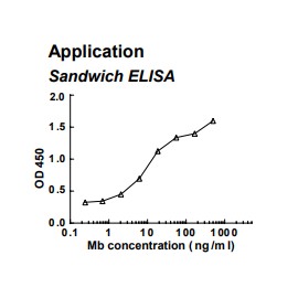 Rabbit anti-human Myoglobin (Mb) monoclonal antibody (clone 6A12)