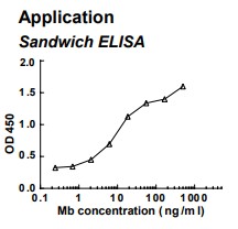 Rabbit anti-human Myoglobin (Mb) monoclonal antibody (clone 6A12)
