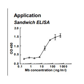 Rabbit anti-human Myoglobin (Mb) monoclonal antibody (clone 6F6)