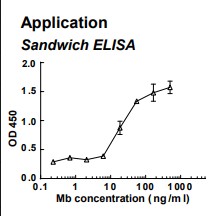 Rabbit anti-human Myoglobin (Mb) monoclonal antibody (clone 6F6)
