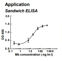 Rabbit anti-human Myoglobin (Mb) monoclonal antibody (clone 7D3)