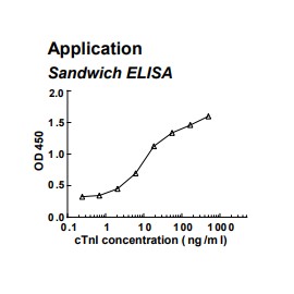 Rabbit anti-human cardiac Troponin I (cTnI) monoclonal antibody (clone 5A16)