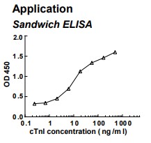 Rabbit anti-human cardiac Troponin I (cTnI) monoclonal antibody (clone 5A16)
