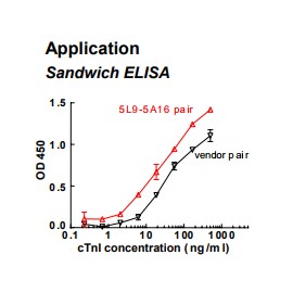 Rabbit anti-human cardiac Troponin I (cTnI) monoclonal antibody (clone 5L9)