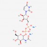 UDP-GlcNAc Disodium Salt