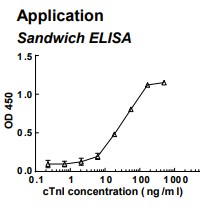 Rabbit anti-human cardiac Troponin I (cTnI) monoclonal antibody (clone 5D11)