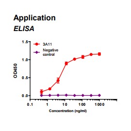 Rabbit anti-human Fatty acid binding protein 3 (FABP3) monoclonal antibody clone 3A11