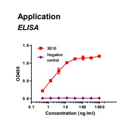 Rabbit anti-human Fatty acid binding protein 3 (FABP3) monoclonal antibody clone 3B10