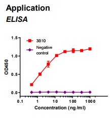 Rabbit anti-human Fatty acid binding protein 3 (FABP3) monoclonal antibody clone 3B10