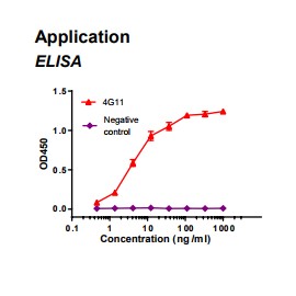 Rabbit anti-human Fatty acid binding protein 3 (FABP3) monoclonal antibody clone 4G11