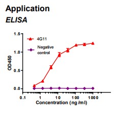 Rabbit anti-human Fatty acid binding protein 3 (FABP3) monoclonal antibody clone 4G11