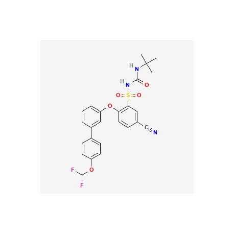 NTP42