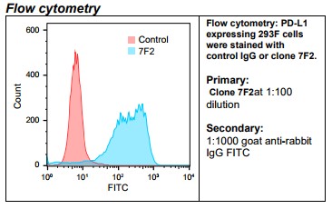Rabbit anti-human PD-L1 Monoclonal Antibody Clone 7F2 