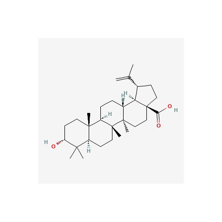 Epibetulinic acid