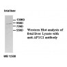 AP1G1 Antibody (Rabbit Polyclonal)